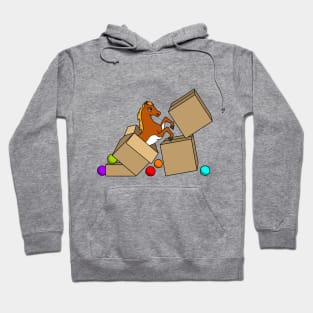 Little horse is jumping out of a box Hoodie